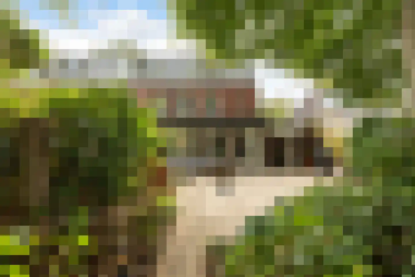 Diependaalselaan 108 Hilversum thumbnail 29