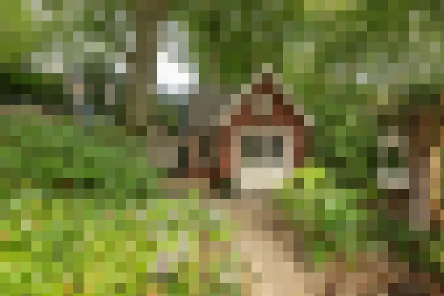Diependaalselaan 108 Hilversum thumbnail 31