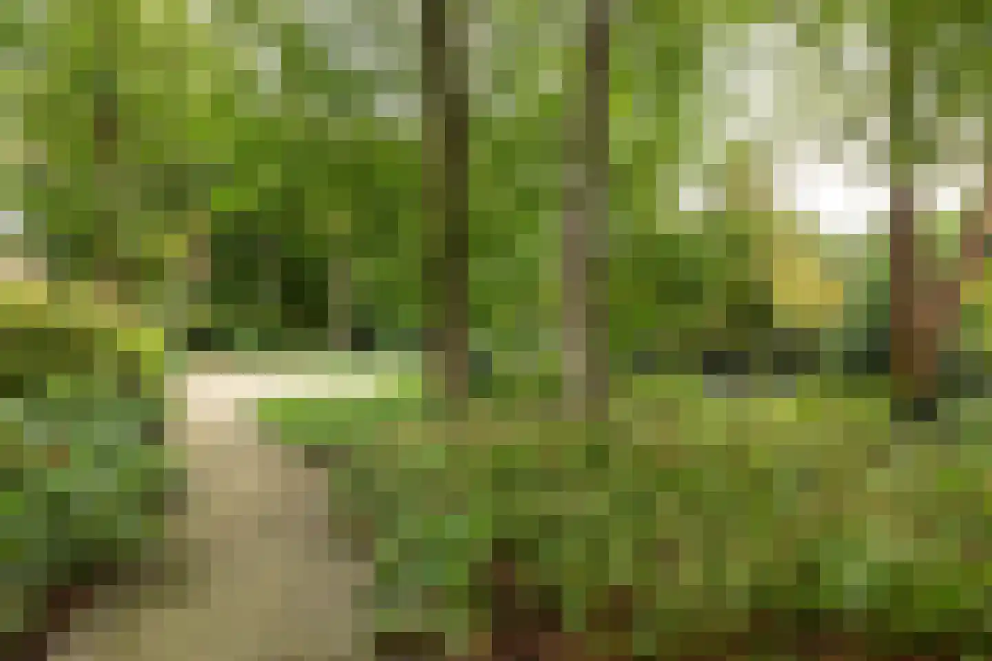 Diependaalselaan 108 Hilversum thumbnail 32