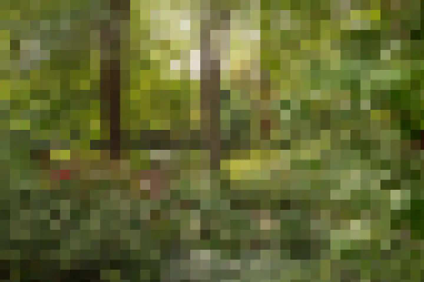 Diependaalselaan 108 Hilversum thumbnail 33
