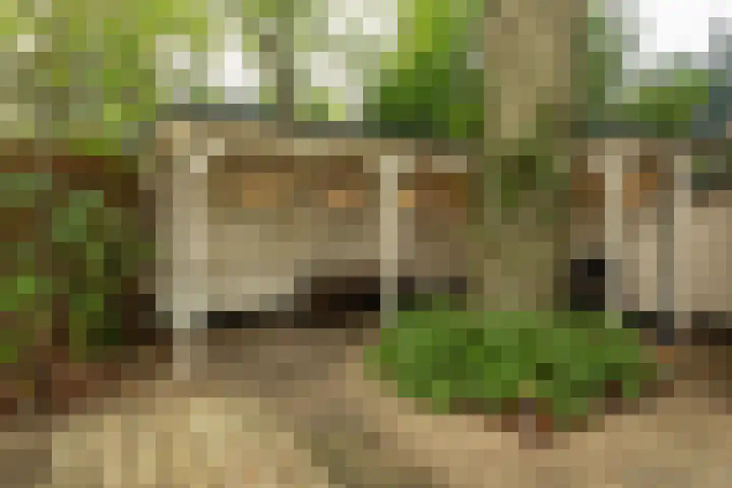 Diependaalselaan 108 Hilversum thumbnail 34