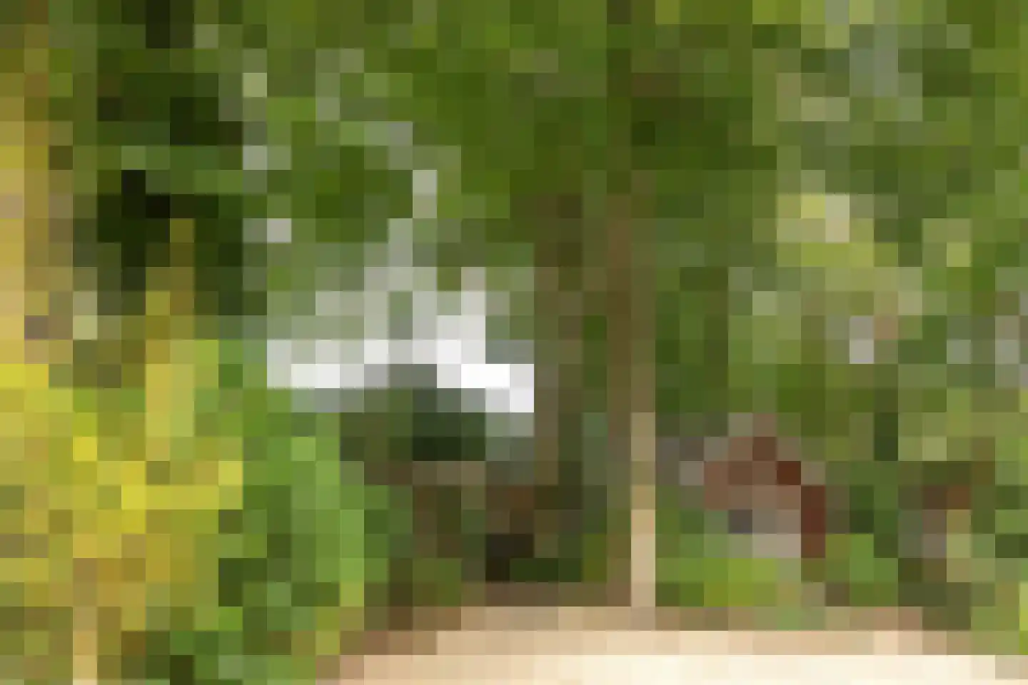 Diependaalselaan 108 Hilversum thumbnail 36