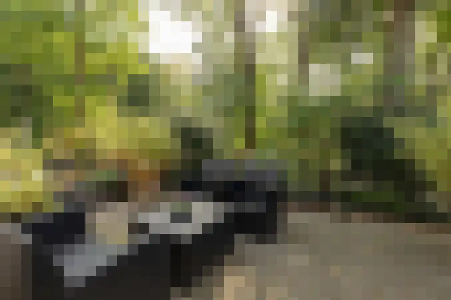 Diependaalselaan 108 Hilversum thumbnail 37