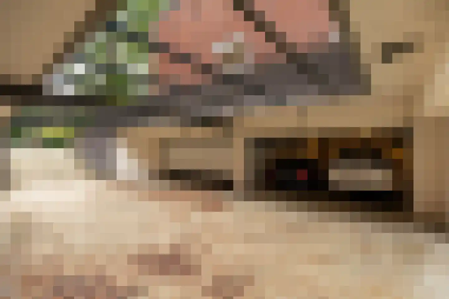Diependaalselaan 108 Hilversum thumbnail 39