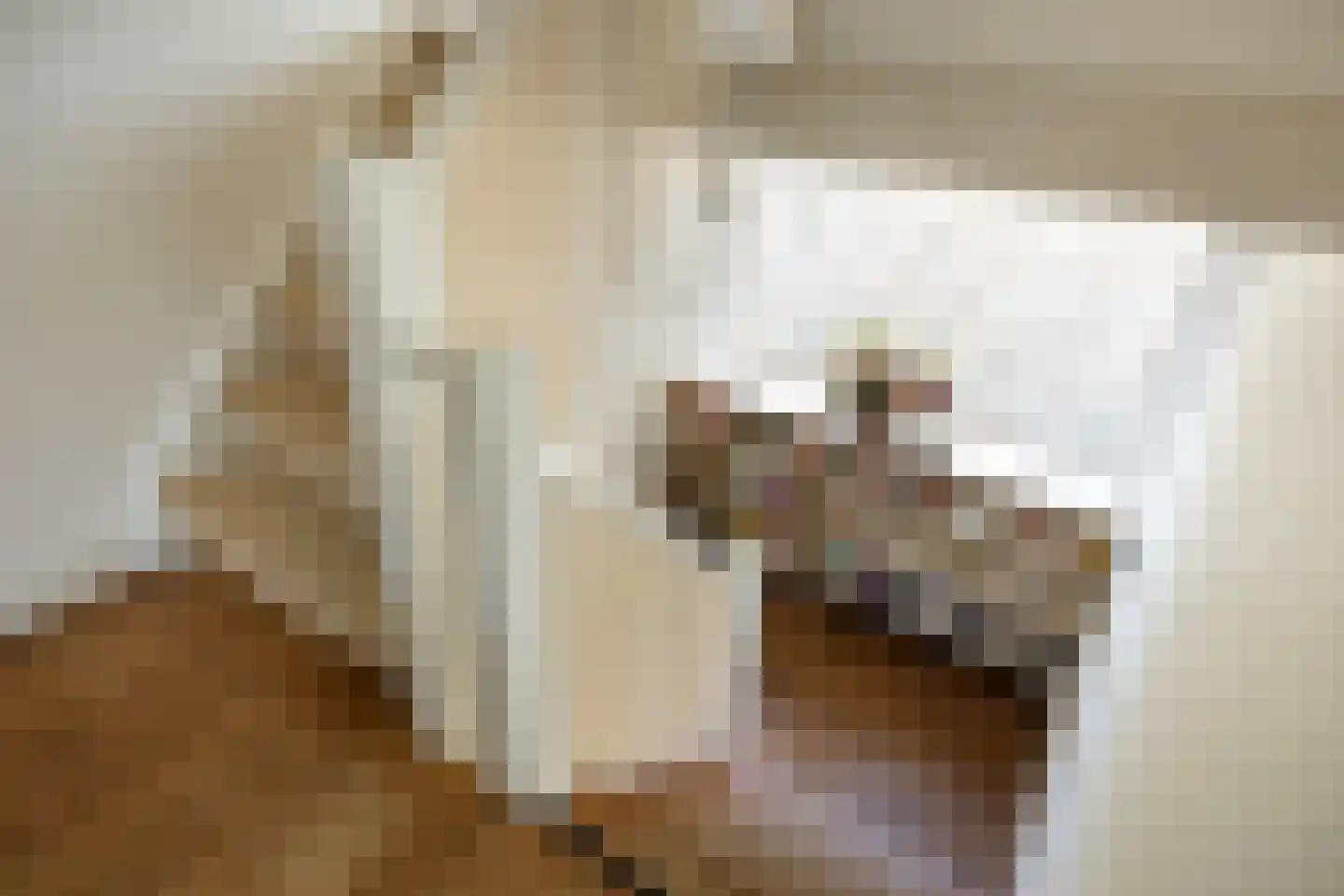 Diependaalselaan 114 Hilversum thumbnail 25