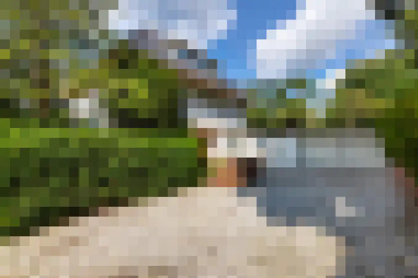 Diependaalselaan 114 Hilversum foto 3