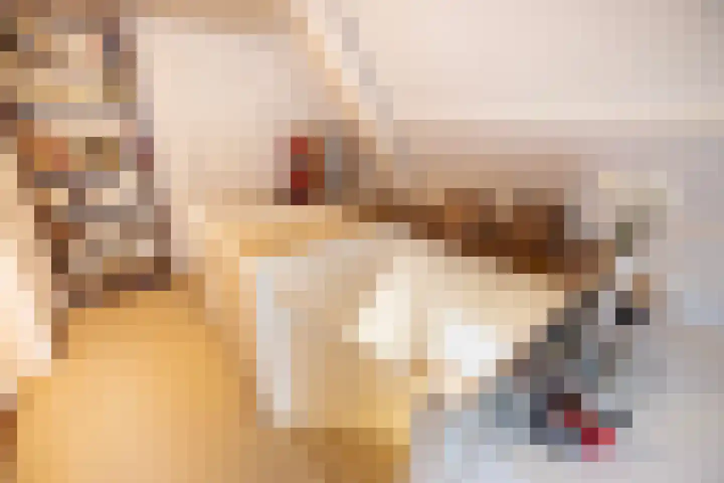 Diependaalselaan 114 Hilversum thumbnail 37
