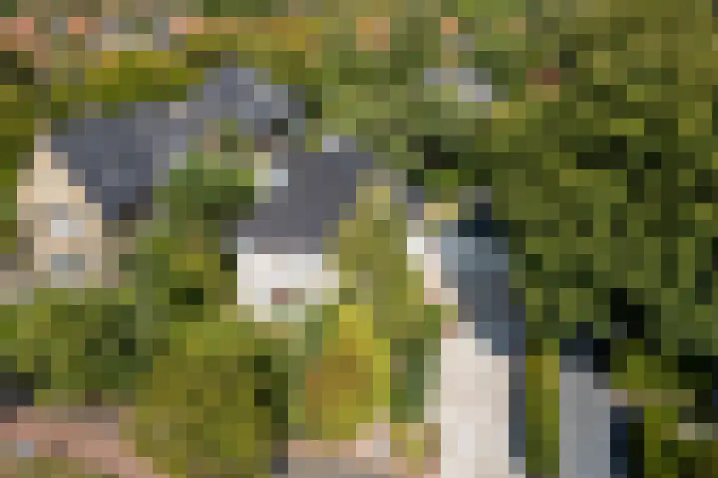 Diependaalselaan 114 Hilversum thumbnail 41