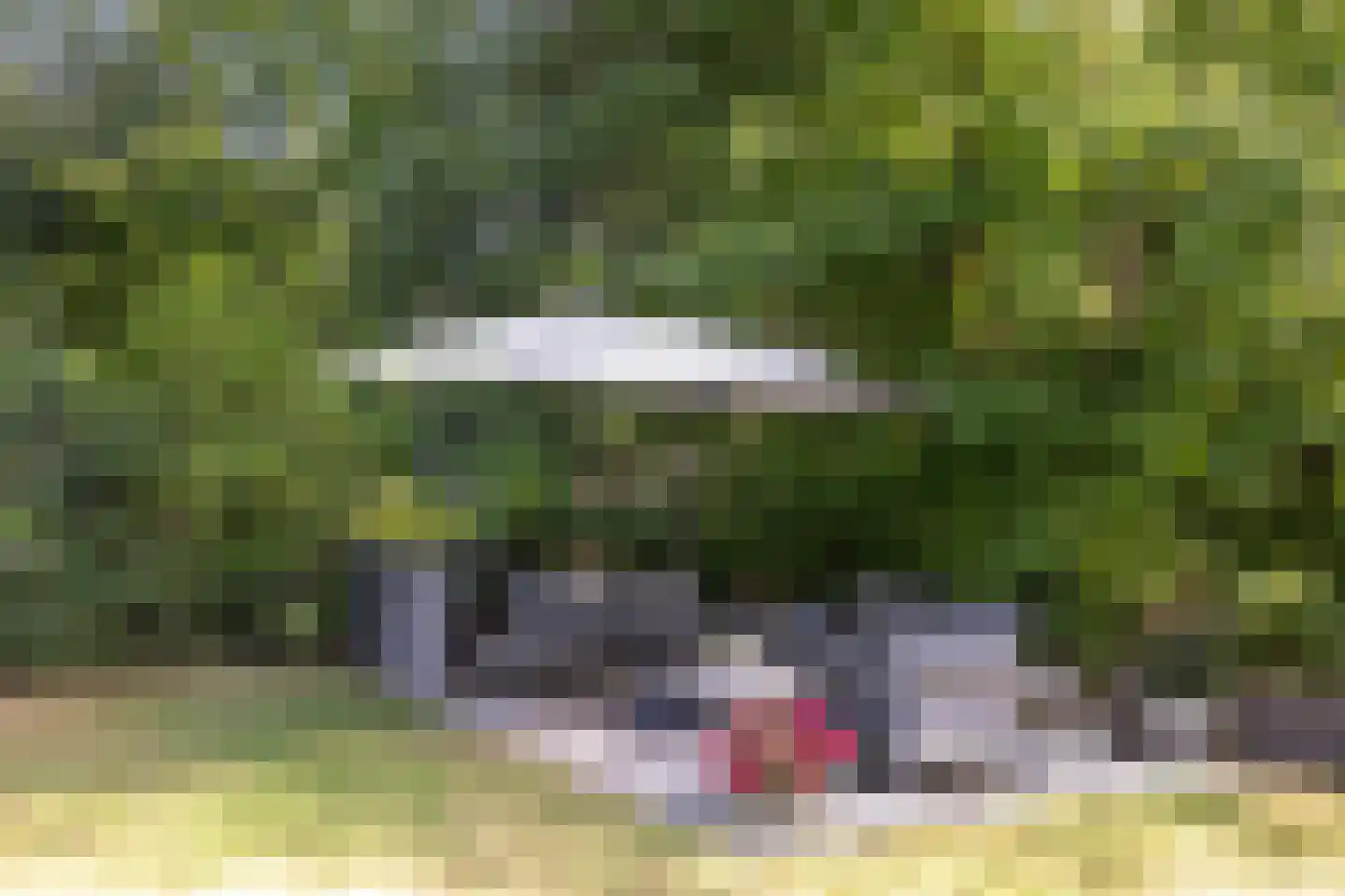 Diependaalselaan 114 Hilversum thumbnail 44