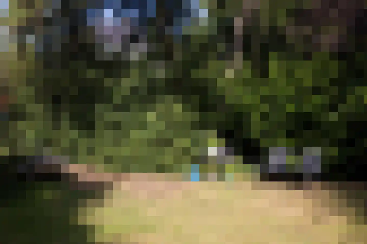Diependaalselaan 114 Hilversum thumbnail 45