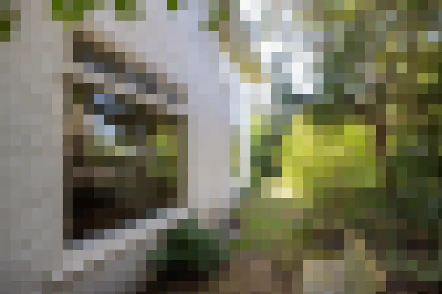 Diependaalselaan 114 Hilversum thumbnail 48