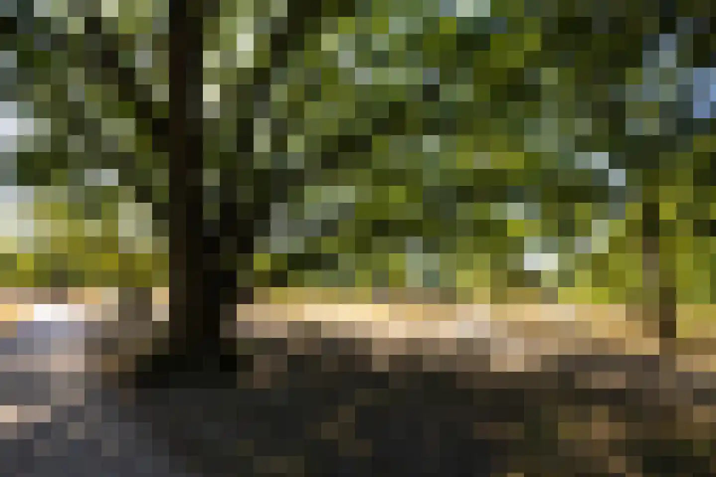 Diependaalselaan 114 Hilversum thumbnail 53