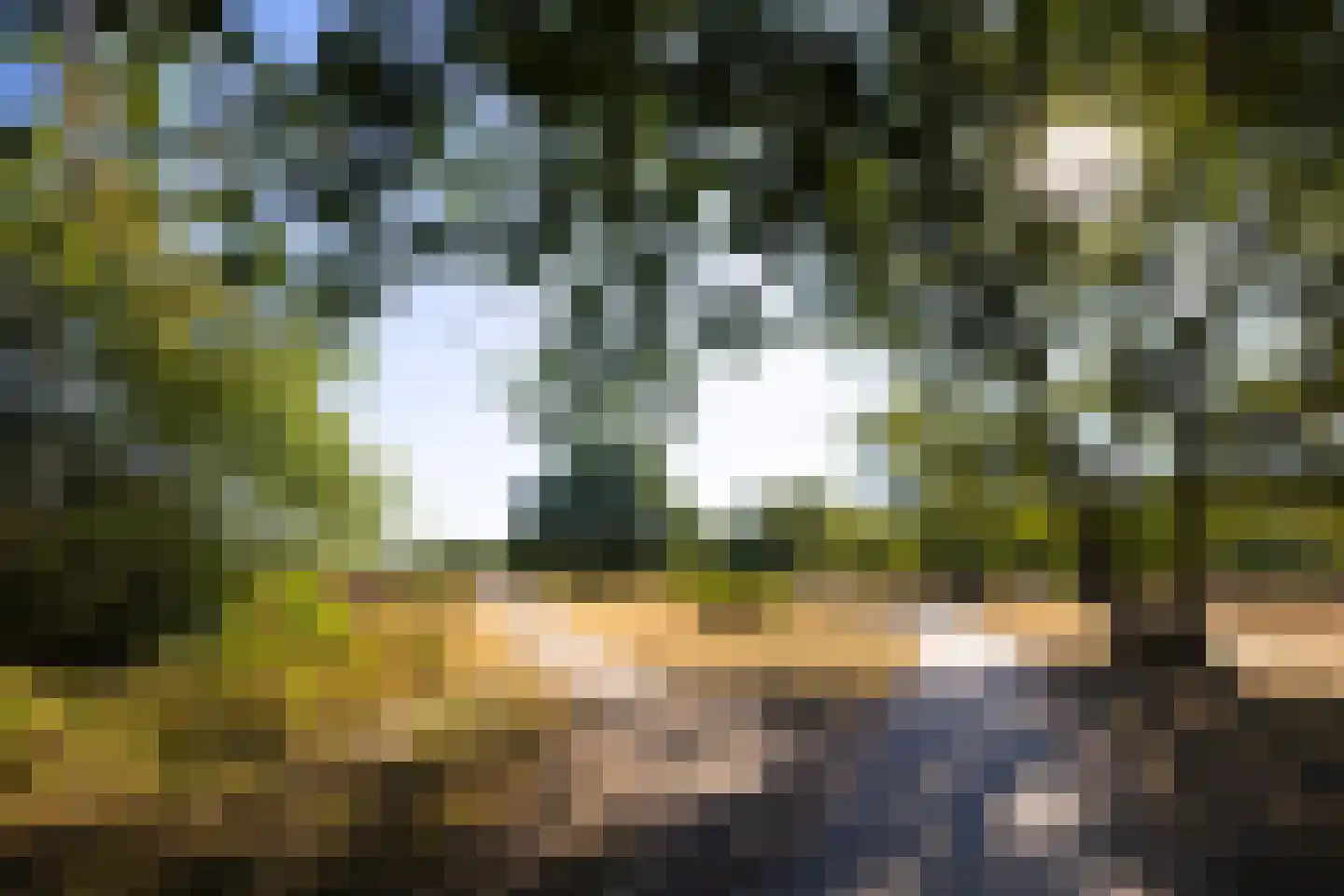 Diependaalselaan 114 Hilversum thumbnail 54