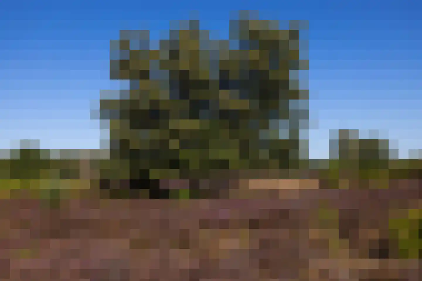 Diependaalselaan 114 Hilversum thumbnail 61