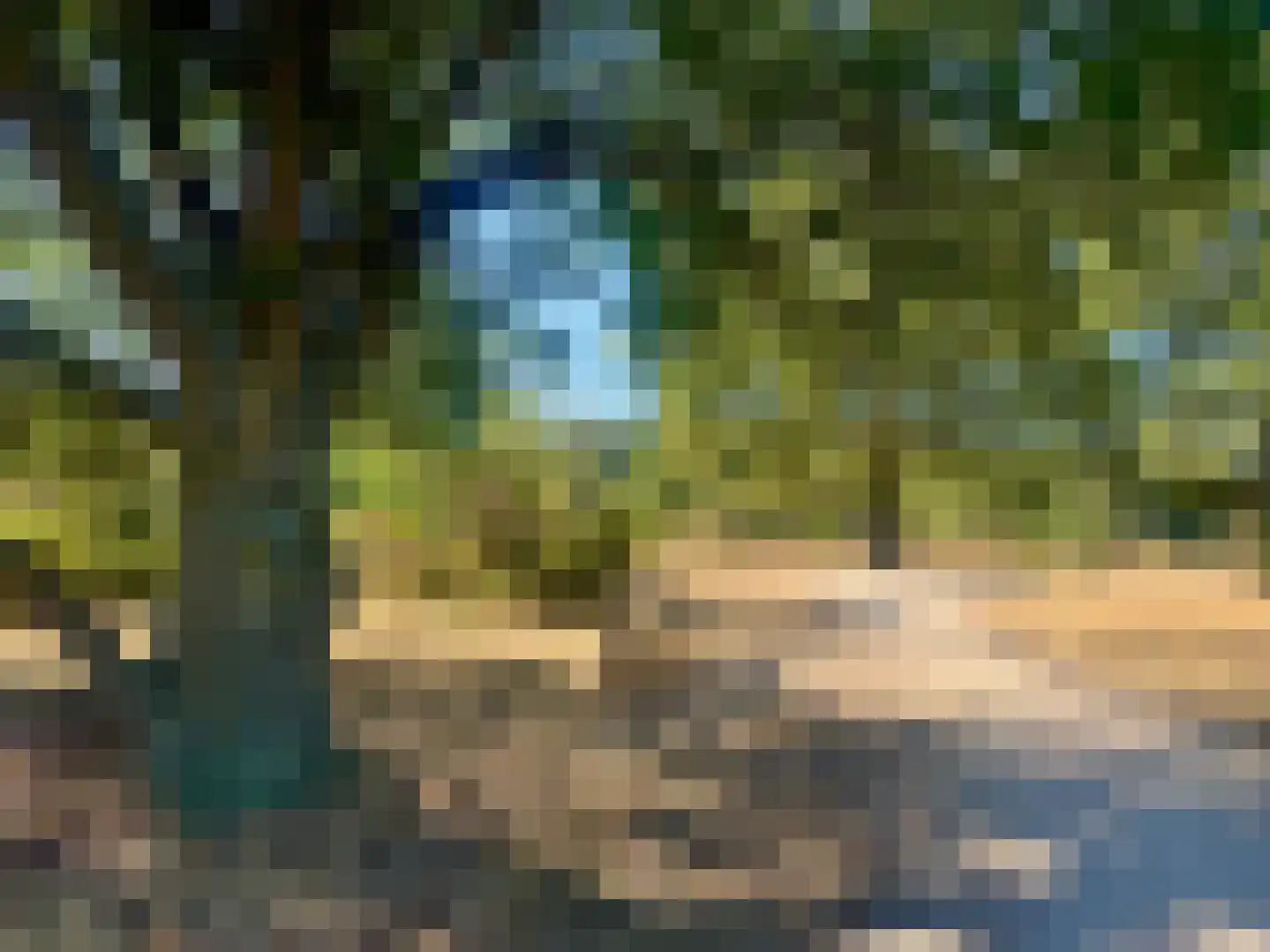 Diependaalselaan 114 Hilversum thumbnail 65