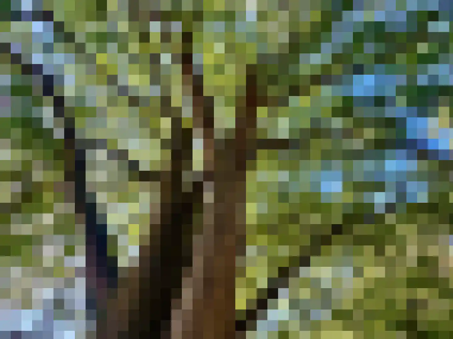 Diependaalselaan 114 Hilversum thumbnail 69