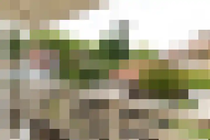 Diependaalselaan 137 Hilversum thumbnail 15