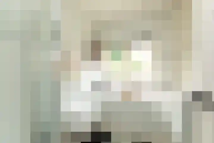 Diependaalselaan 137 Hilversum thumbnail 16