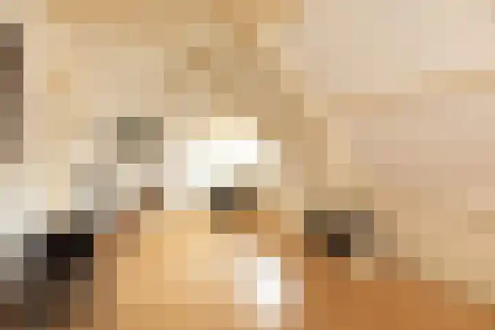 Diependaalselaan 137 Hilversum thumbnail 24