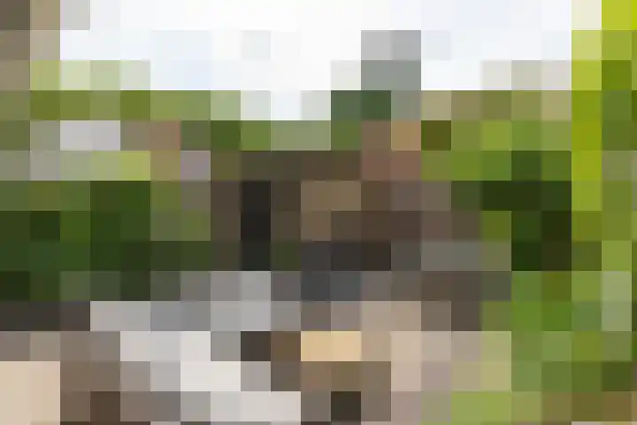 Diependaalselaan 137 Hilversum thumbnail 26