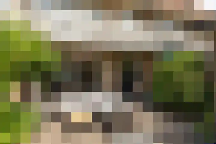 Diependaalselaan 137 Hilversum thumbnail 29