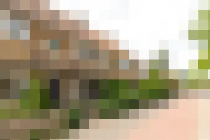 Diependaalselaan 137 Hilversum thumbnail 31