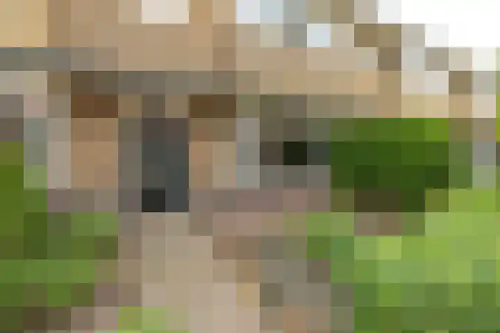 Diependaalselaan 137 Hilversum thumbnail 32