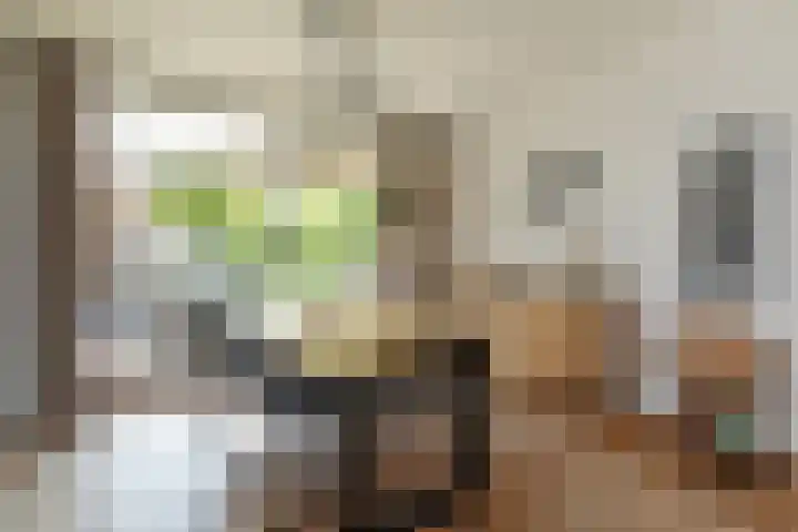 Diependaalselaan 137 Hilversum thumbnail 6