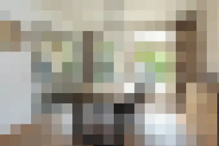 Diependaalselaan 137 Hilversum thumbnail 7