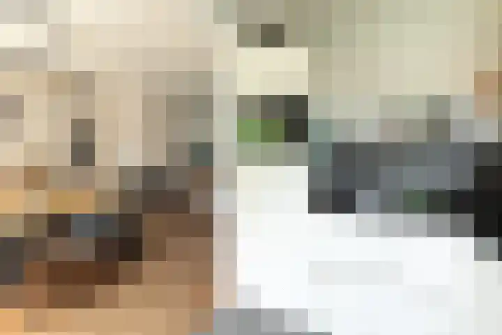 Diependaalselaan 137 Hilversum thumbnail 8