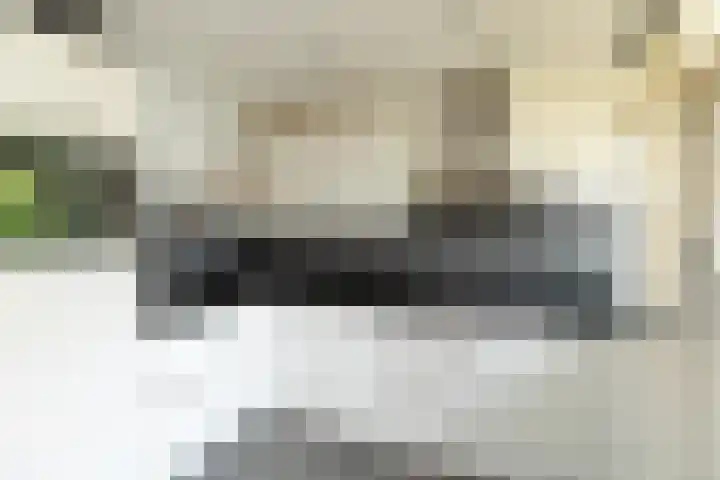 Diependaalselaan 137 Hilversum thumbnail 9