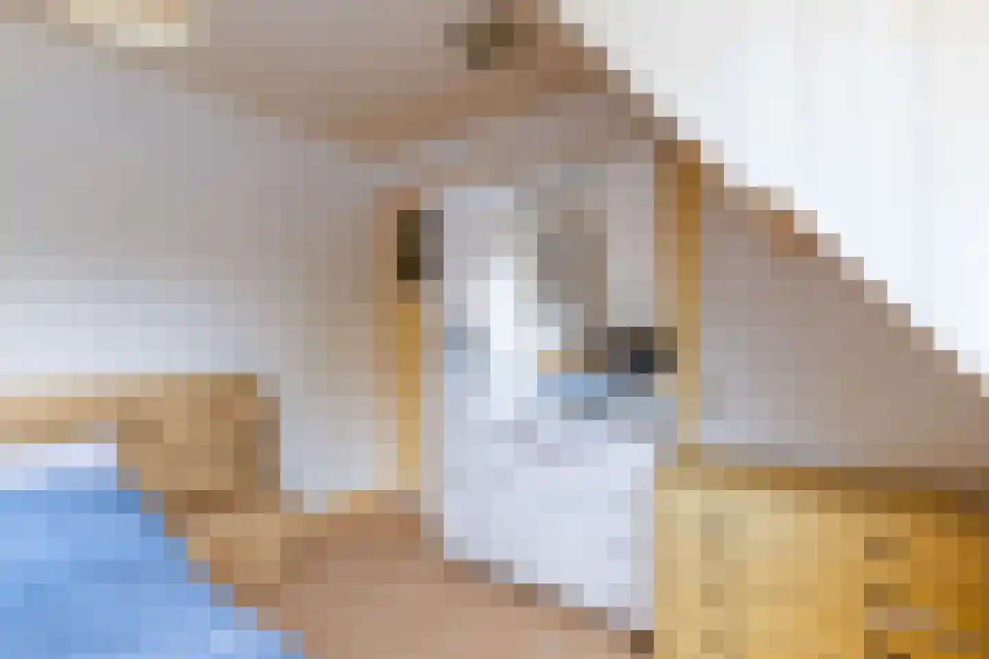 Diependaalselaan 142 Hilversum thumbnail 23