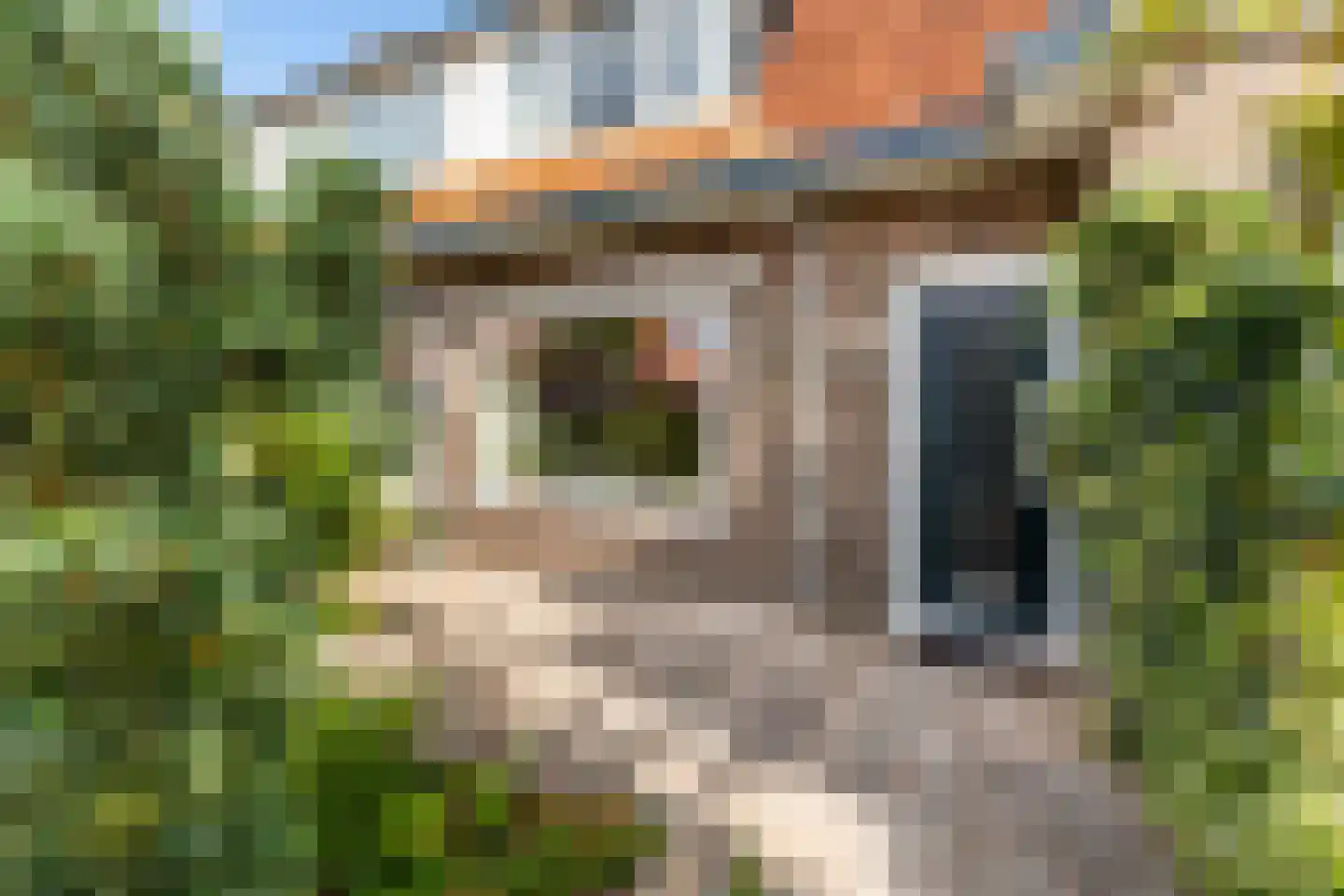 Diependaalselaan 142 Hilversum thumbnail 5