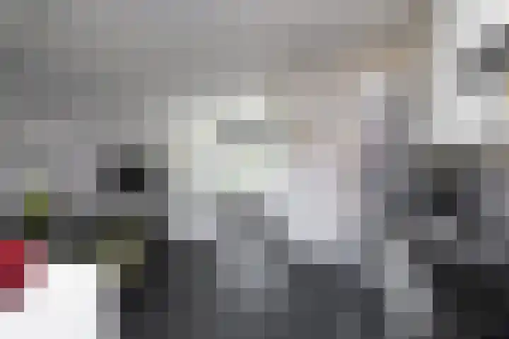Diependaalselaan 192 Hilversum thumbnail 11