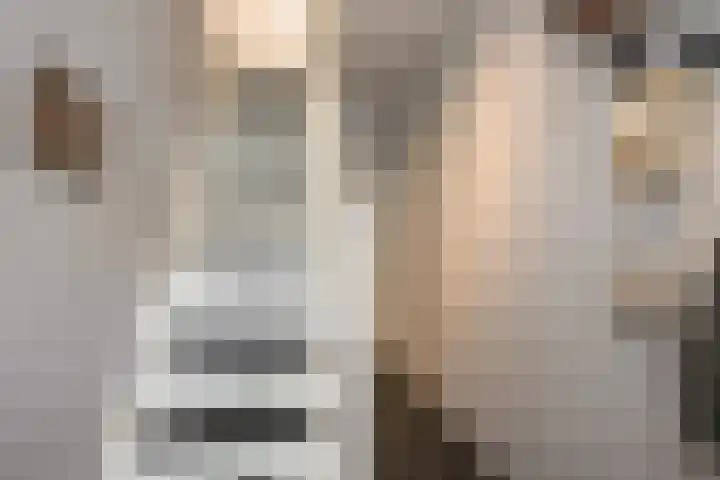 Diependaalselaan 192 Hilversum thumbnail 13