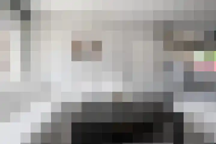 Diependaalselaan 192 Hilversum thumbnail 5