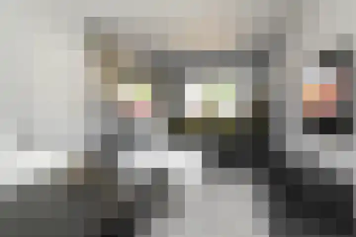 Diependaalselaan 192 Hilversum thumbnail 8