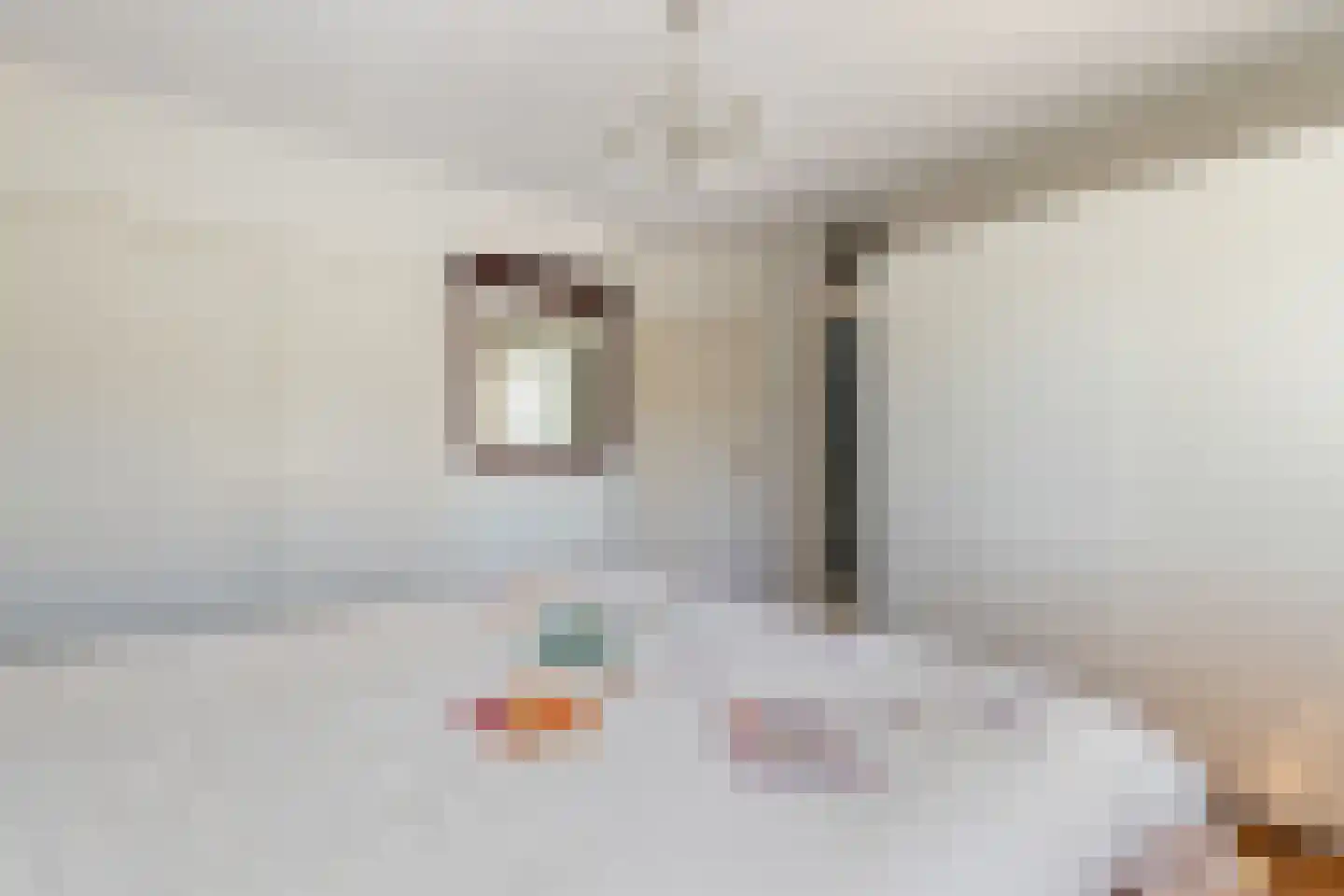 Diependaalselaan 268 A Hilversum thumbnail 31