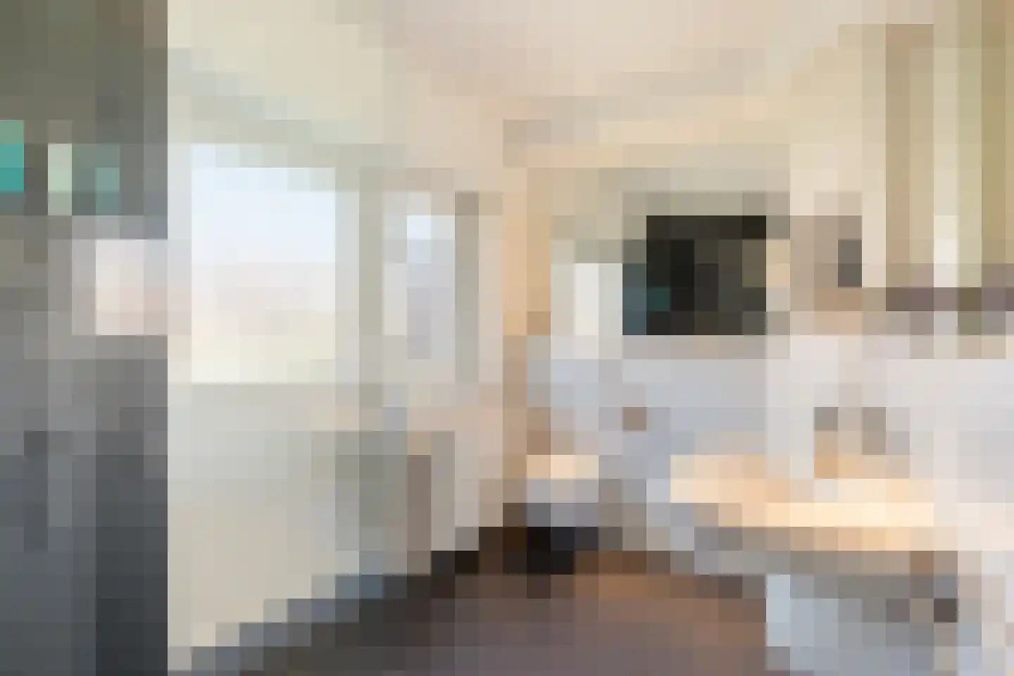 Diependaalselaan 268 A Hilversum thumbnail 33