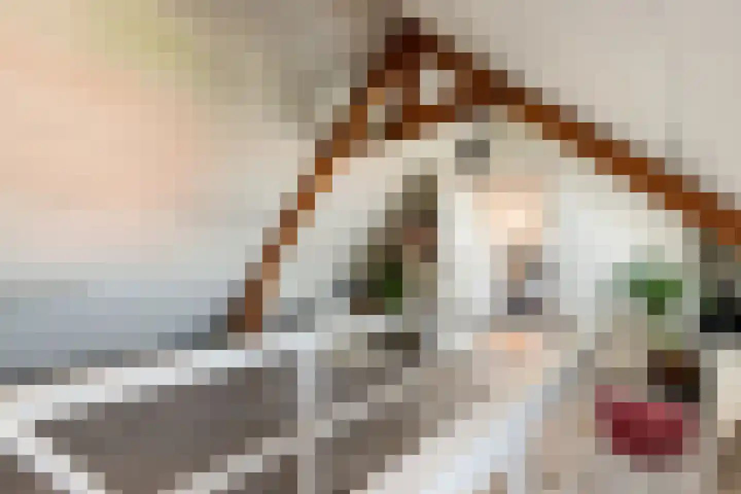 Diependaalselaan 268 A Hilversum thumbnail 36