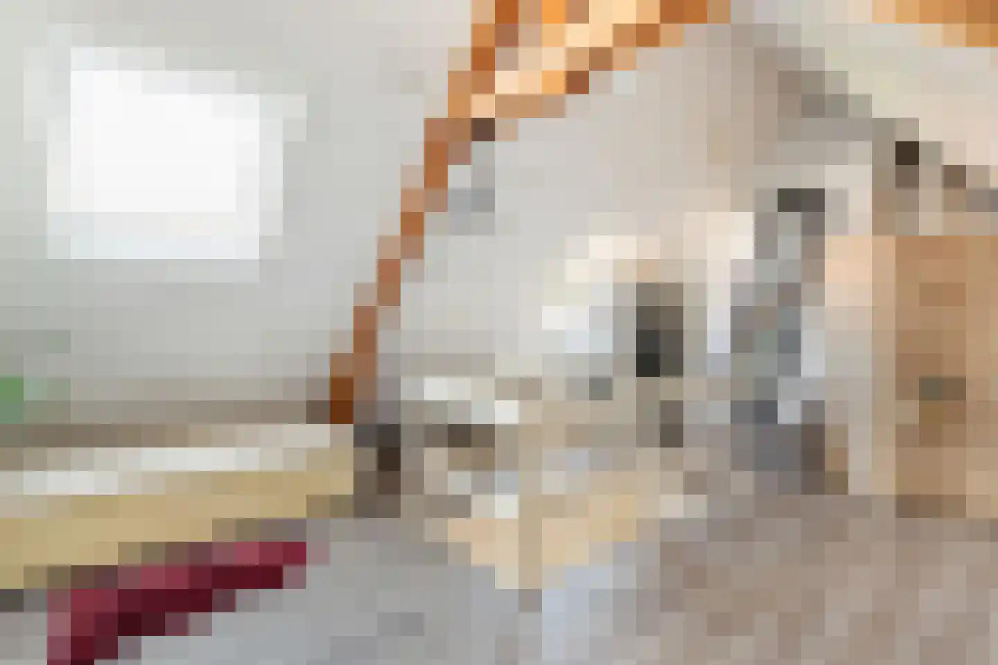 Diependaalselaan 268 A Hilversum thumbnail 38