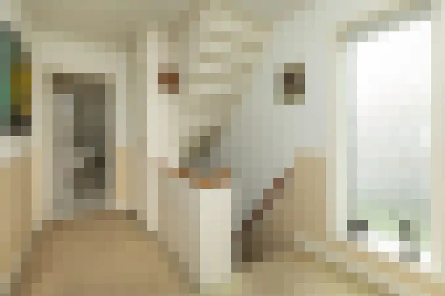 Diependaalselaan 281 Hilversum thumbnail 15
