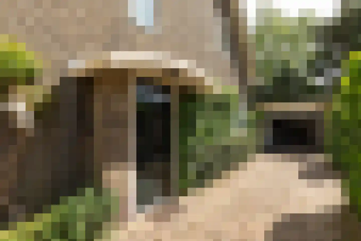 Diependaalselaan 281 Hilversum thumbnail 4