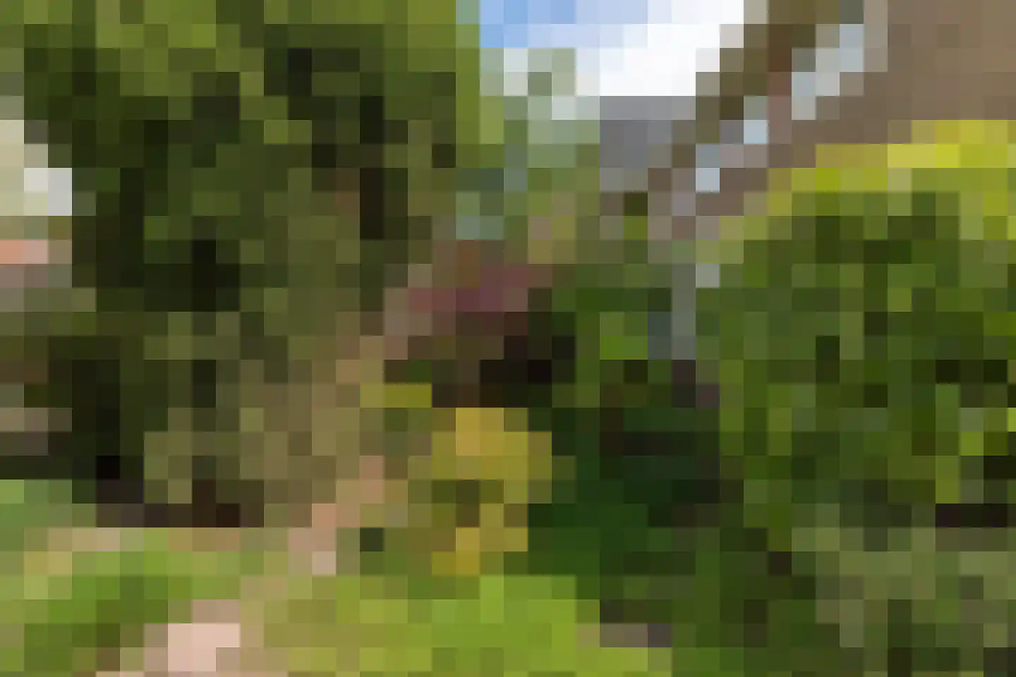 Diependaalselaan 281 Hilversum thumbnail 5