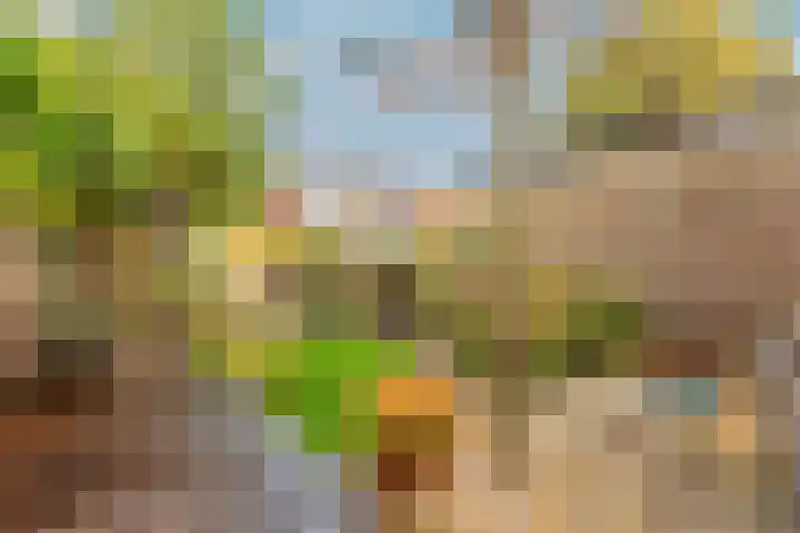 Diependaalselaan 290 Hilversum thumbnail 18