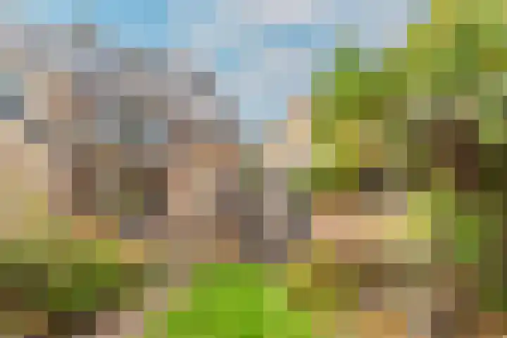 Diependaalselaan 290 Hilversum thumbnail 20