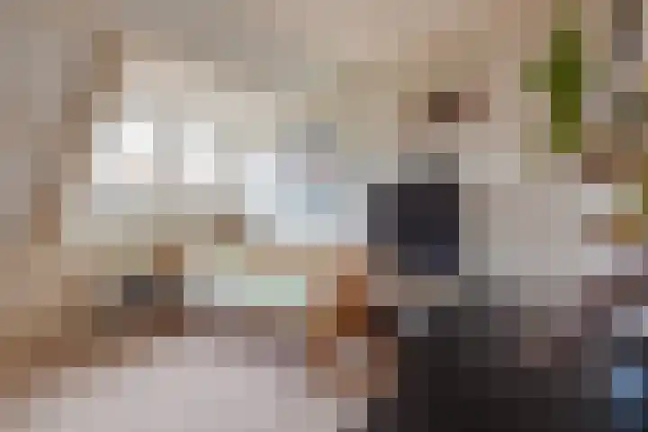 Diependaalselaan 290 Hilversum thumbnail 32