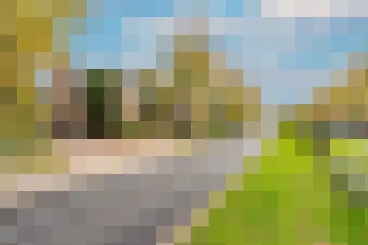 Diependaalselaan 290 Hilversum thumbnail 39