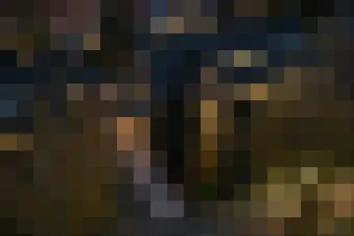 Diependaalselaan 290 Hilversum thumbnail 40