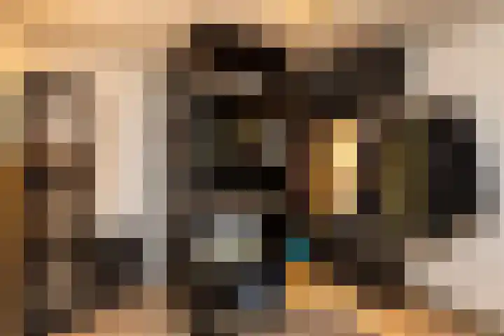 Diependaalselaan 310 Hilversum thumbnail 15